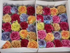 Zefir Florist Boxes 16
